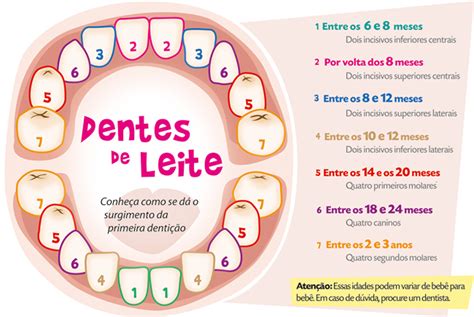 dentição bebe-4